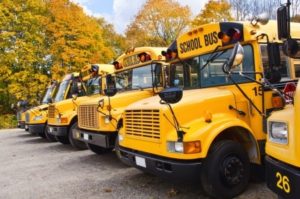 16831796 - yellow school buses